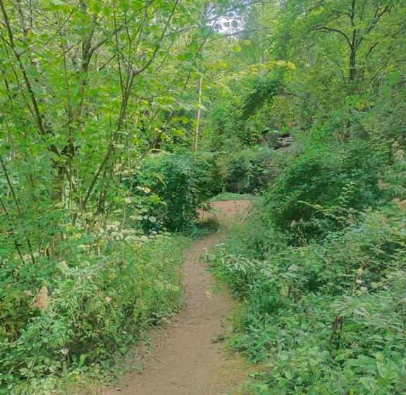 בית מלון כפרי Le Castel D Olmes