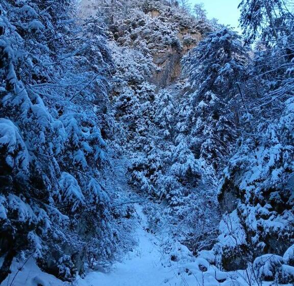 בית מלון כפרי Le Castel D Olmes