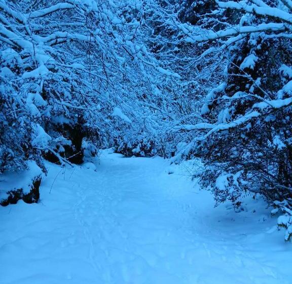 בית מלון כפרי Le Castel D Olmes