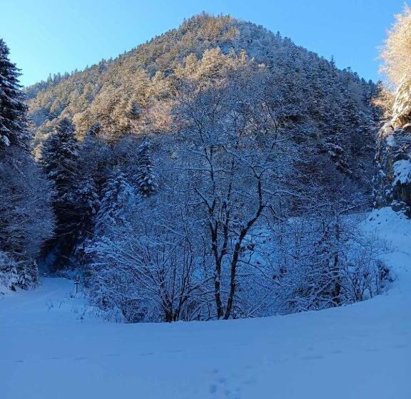 בית מלון כפרי Le Castel D Olmes