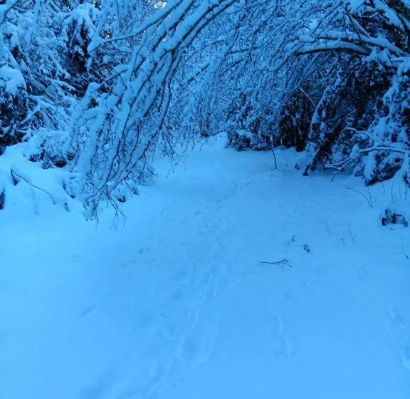 בית מלון כפרי Le Castel D Olmes