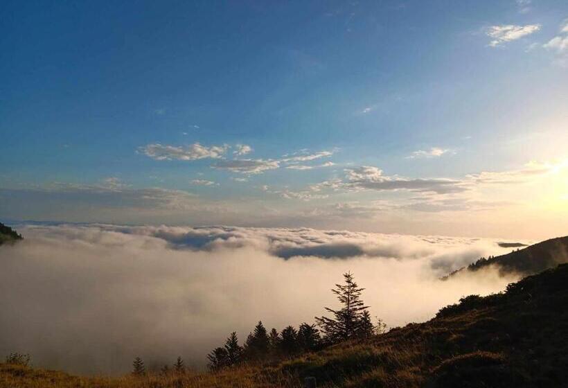 בית מלון כפרי Le Castel D Olmes