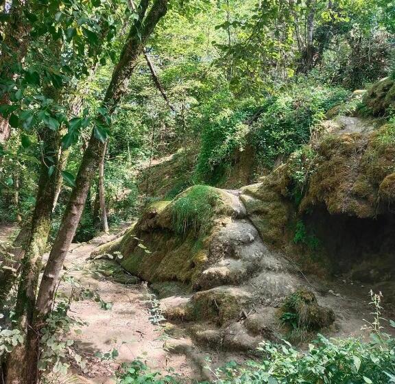 בית מלון כפרי Le Castel D Olmes