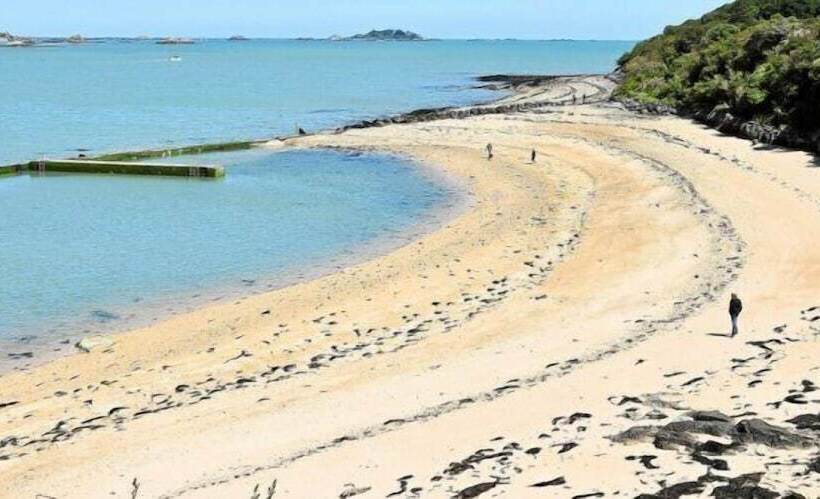 هتل Hôtel Le Goas Plat