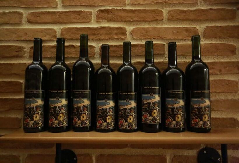 בית מלון כפרי Hymetis Palace