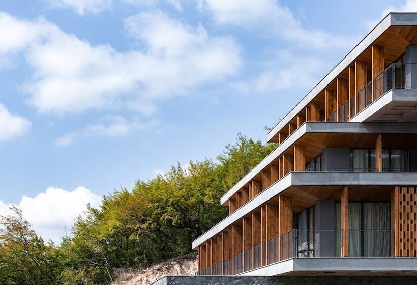 هتل Kvareli Lake Resort