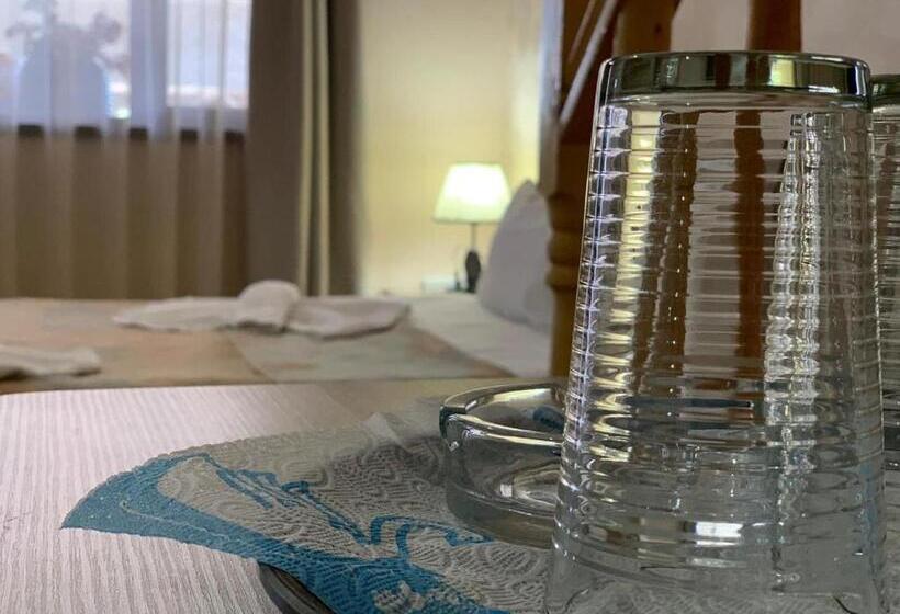 هتل Old Town Akhaltsikhe