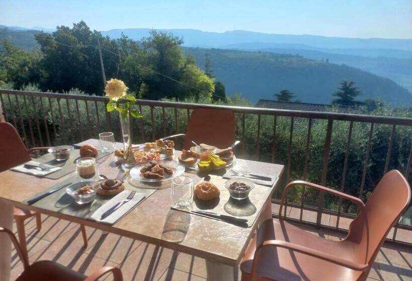 住宿加早餐 La Terrazza In Collina