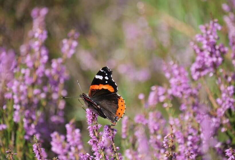 צימר La Vita Veluwe