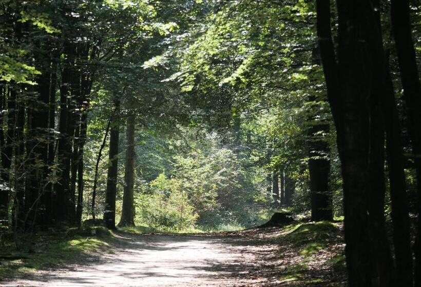 צימר La Vita Veluwe