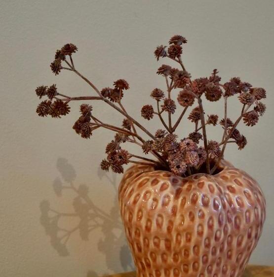 צימר La Vita Veluwe