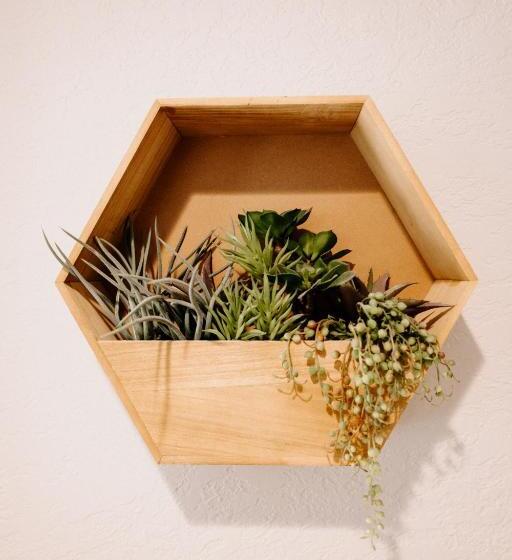 호텔 Downtown Studio 1 At Beer Ranch Project Inn