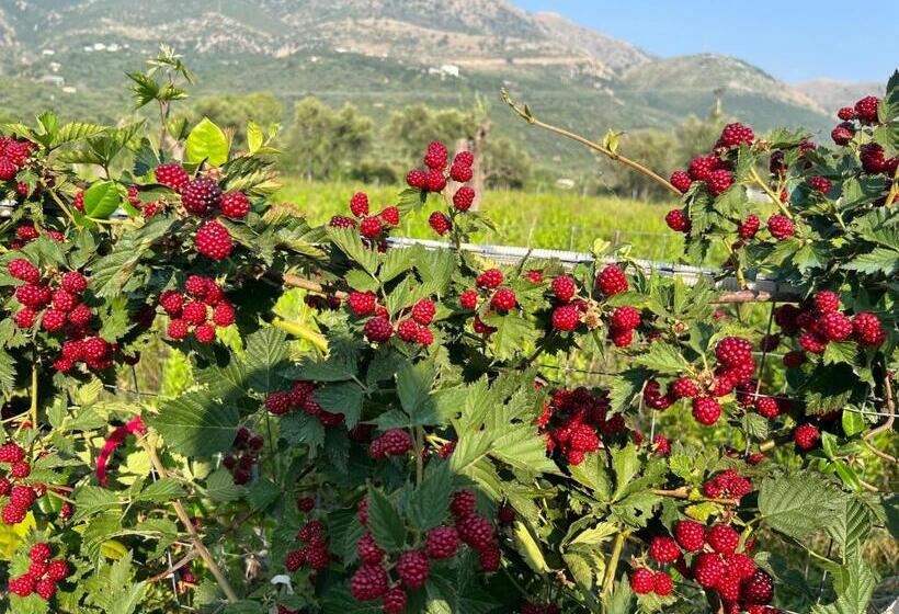 בית מלון כפרי Villa Noel Borsh