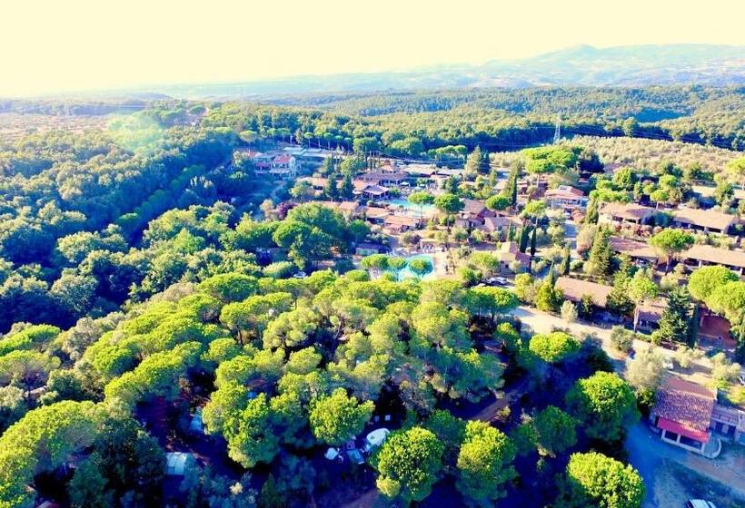 Isa Residence With Swimming Pool In Guardistallo Surrounded By Greenery