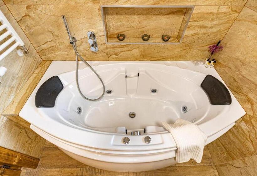 بنسيون Rustic Maramureș