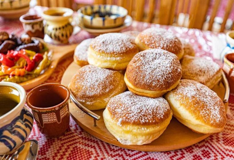 بنسيون Rustic Maramureș