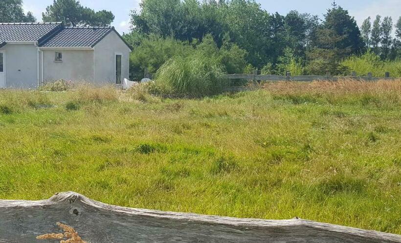 住宿加早餐  L Hyppo Camp