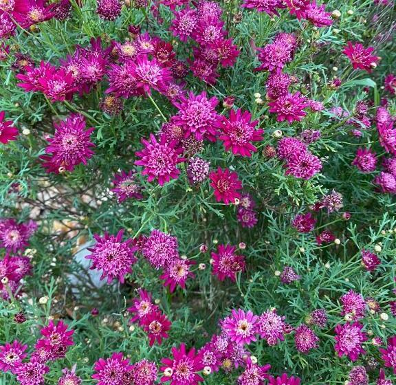 Cabaña Las Dos Marías