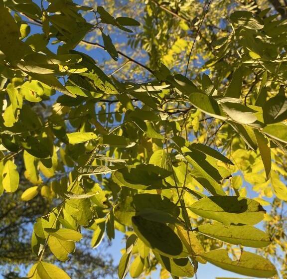 Cabaña Las Dos Marías