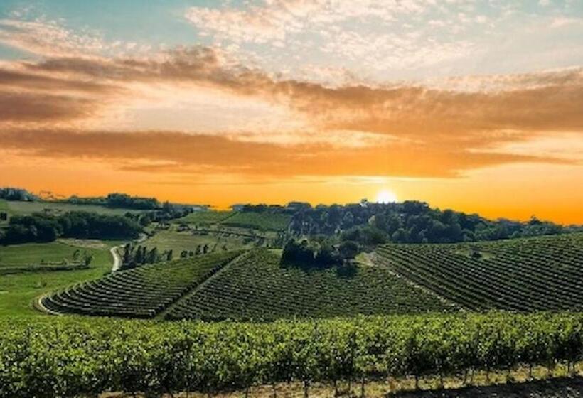 Panzió Room In Guest Room   La Culla Tra I Vigneti   Stanza