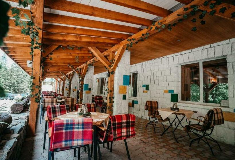 Bed and Breakfast Bâlea Cascadă