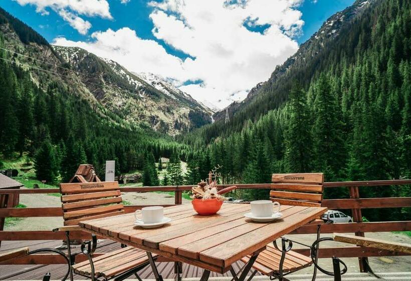 ベッドアンドブレックファースト Bâlea Cascadă