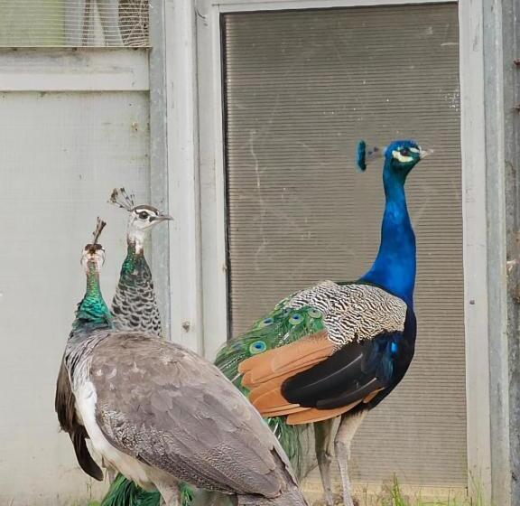 مبيت وإفطار Die Heerenhuys Guest Suites