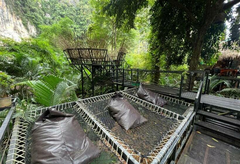 Mountain View Party Hostel