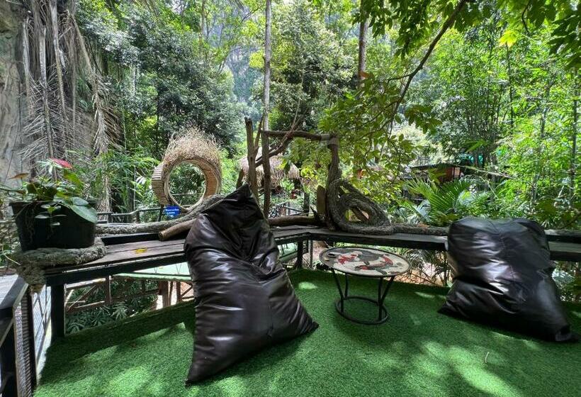 Mountain View Party Hostel