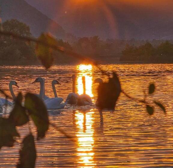 Пансион Casa Tami