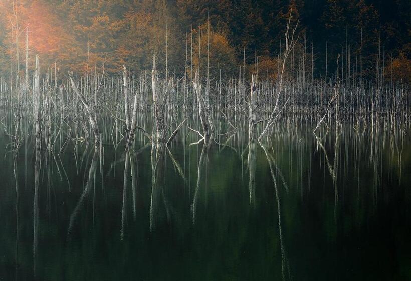 Пансион Casa Tami