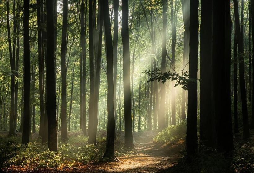 Пансион Casa Tami