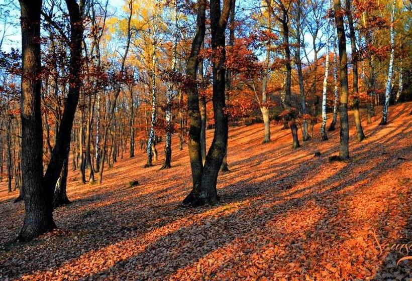 بنسيون Casa Tami