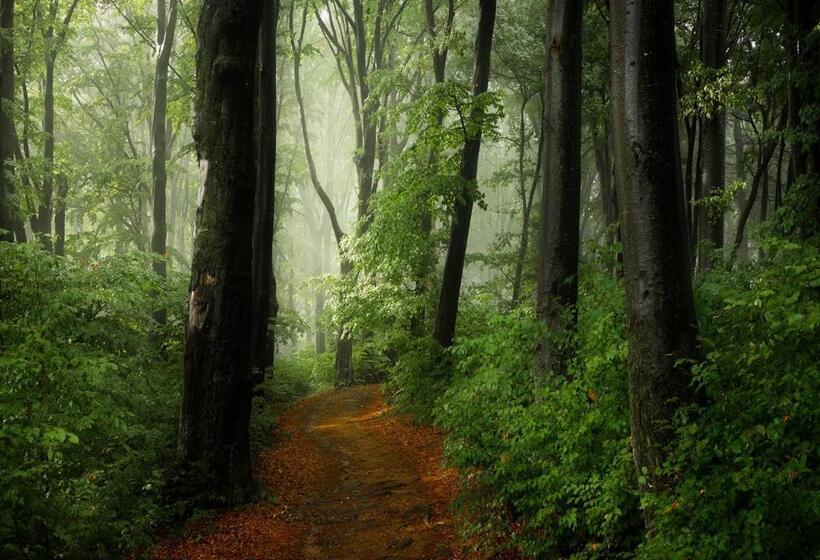 بنسيون Casa Tami