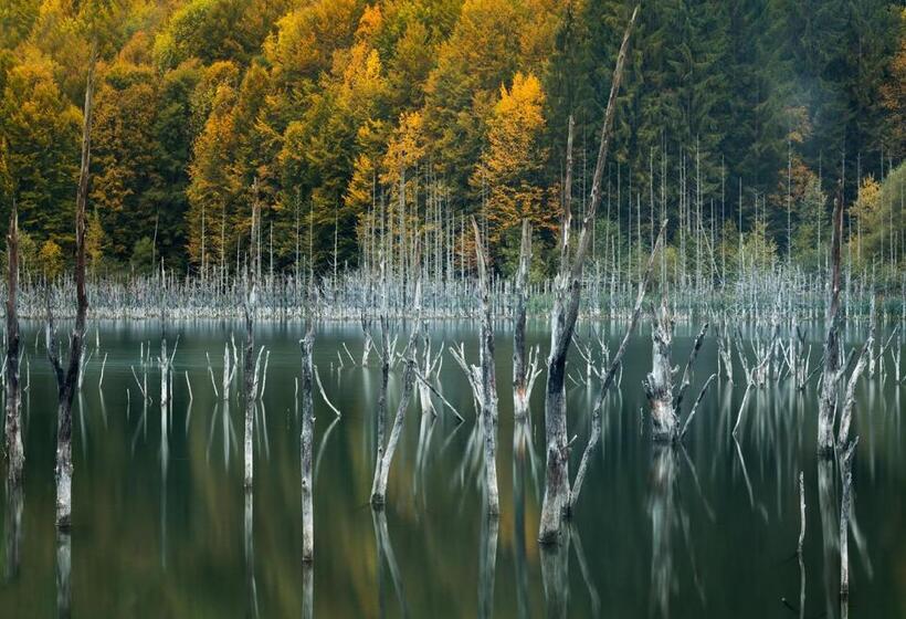 Пансион Casa Tami