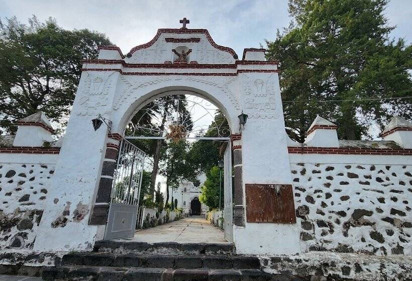 پانسیون La Palma Coliving