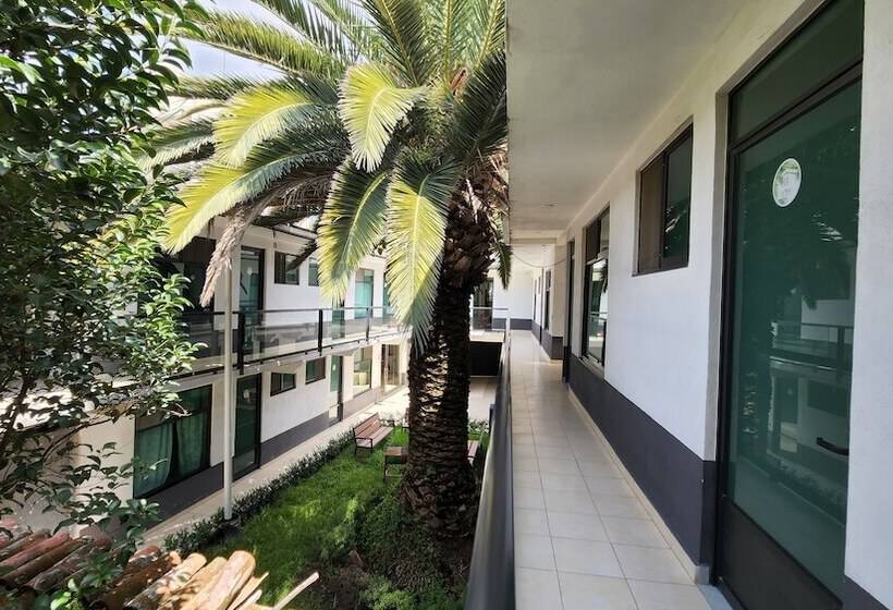 پانسیون La Palma Coliving