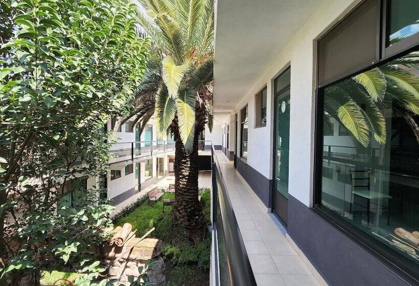 پانسیون La Palma Coliving