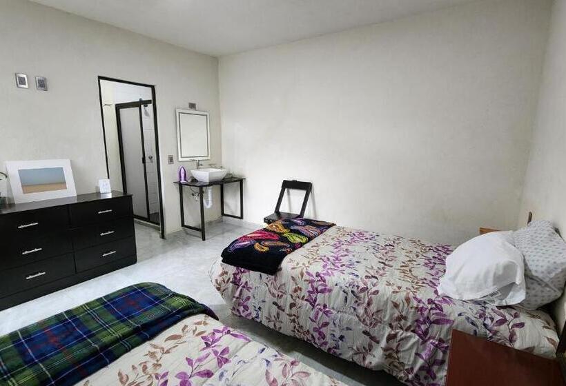 پانسیون La Palma Coliving