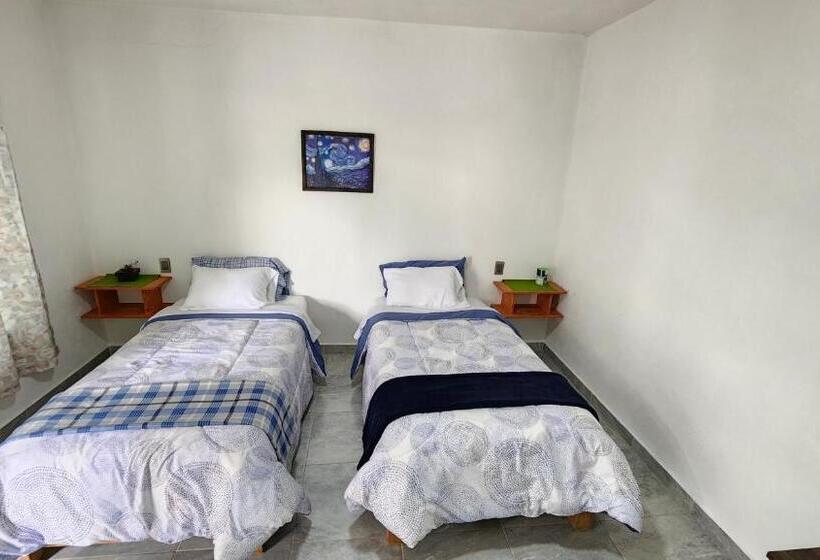 پانسیون La Palma Coliving