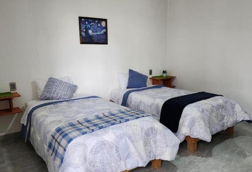 پانسیون La Palma Coliving