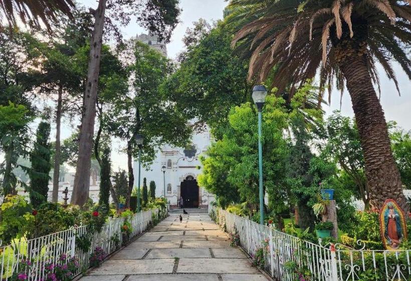 پانسیون La Palma Coliving