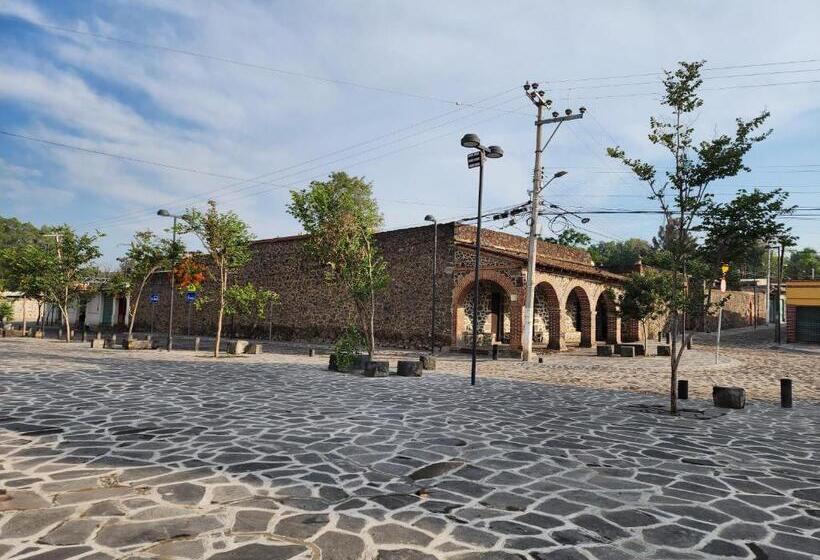 پانسیون La Palma Coliving