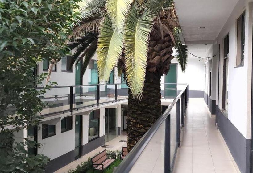 پانسیون La Palma Coliving