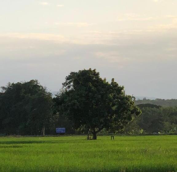 ณาคูรีสอร์ท Nakoo Resort Ngao