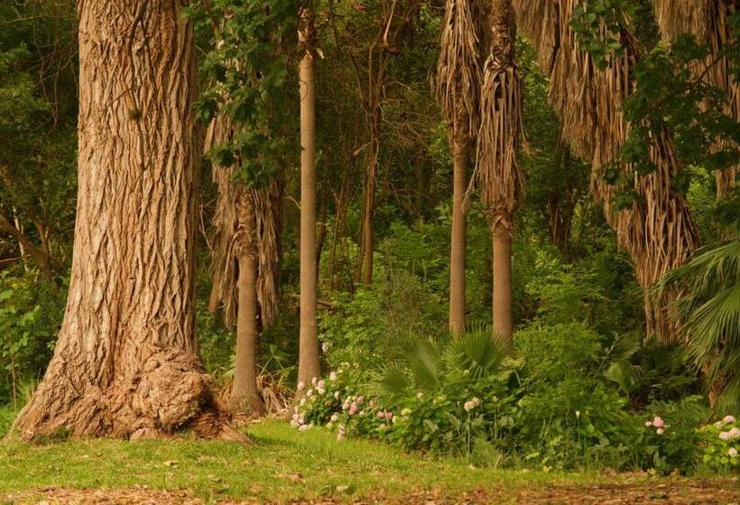 210 Casa De Huéspedes