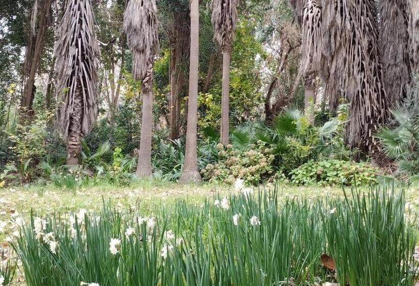 210 Casa De Huéspedes