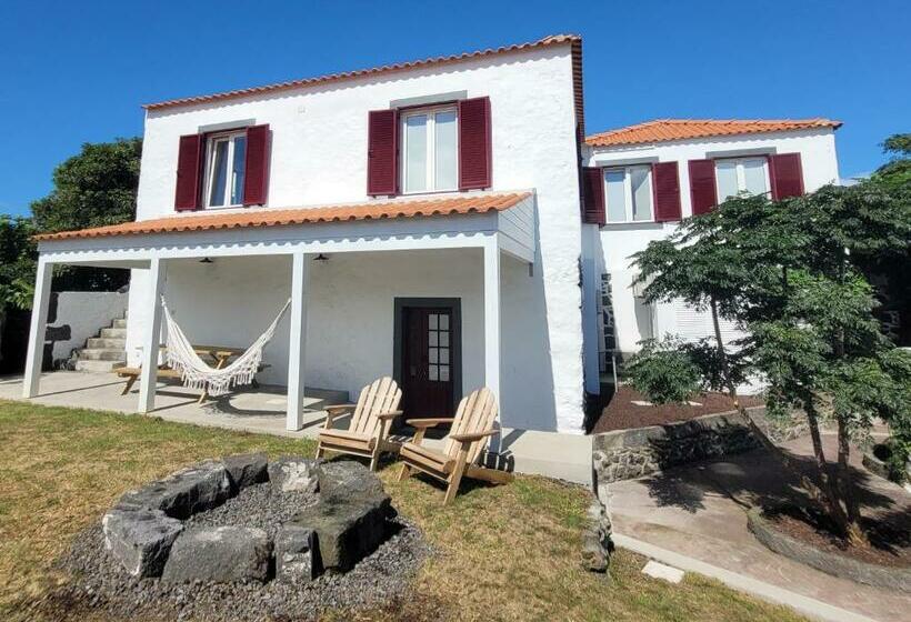 هاستل Jardim Das Camélias