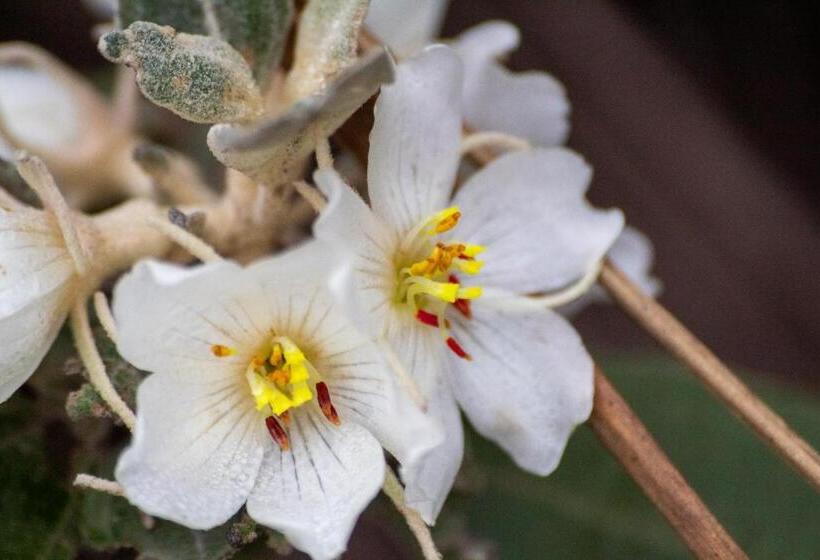 ユースホステル Villa Madorna