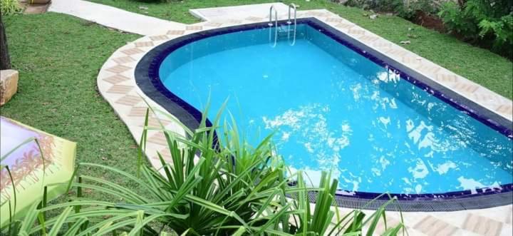 Отель The Royal Garden